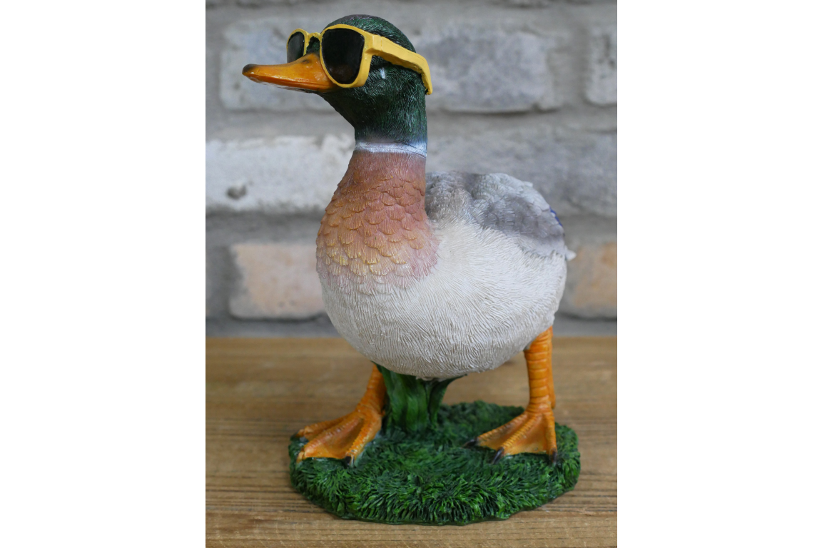 Duck In Shades