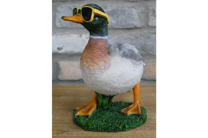 Duck In Shades