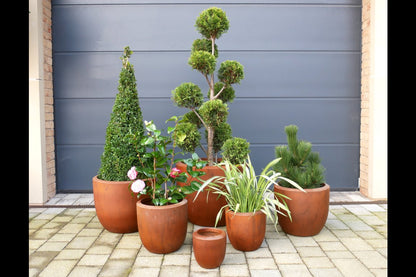 Set Of 6 Planters