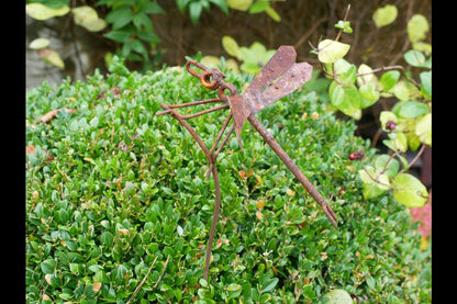 Rusty Dragonfly Stake