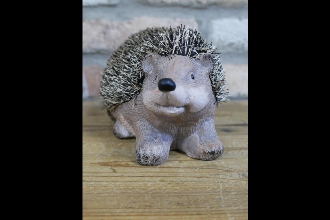 Hedgehog