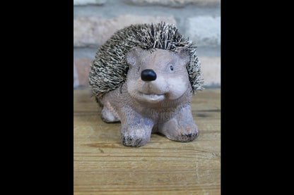 Hedgehog