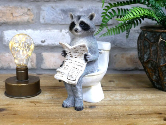 Racoon On The Loo