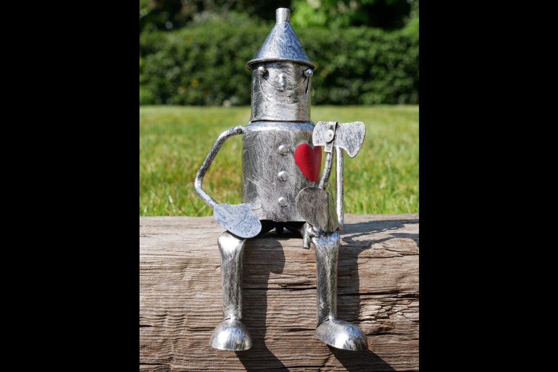 Tin Man - Mini Sitting