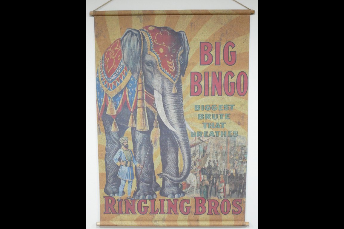 Canvas Wall Art - Elephant