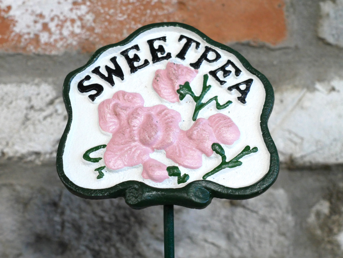 Sweet Pea Sign