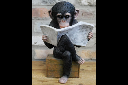Monkey Reading The News