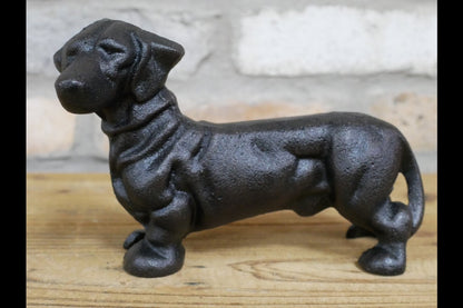 Sausage Dog