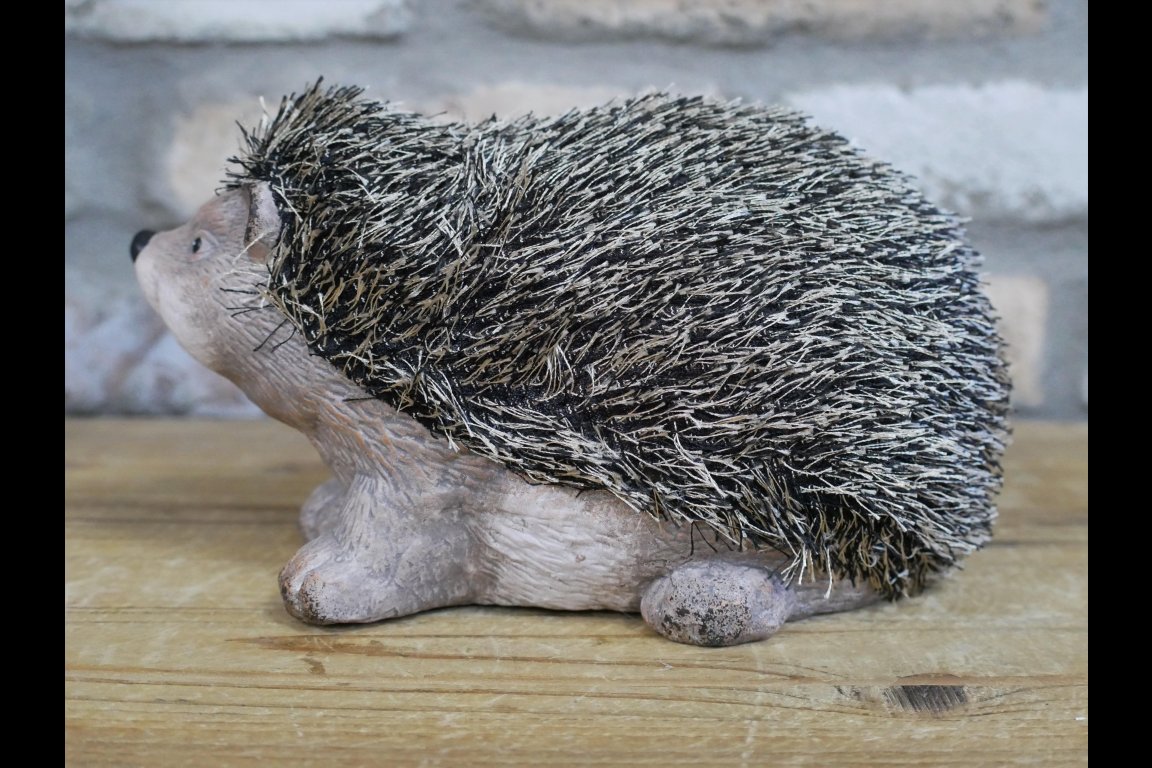 Hedgehog
