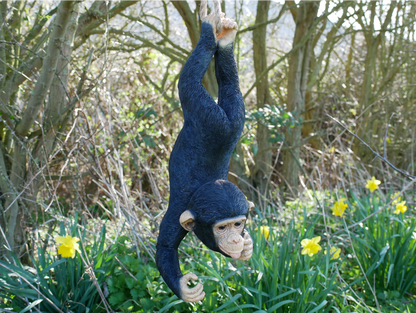 Hanging Monkey