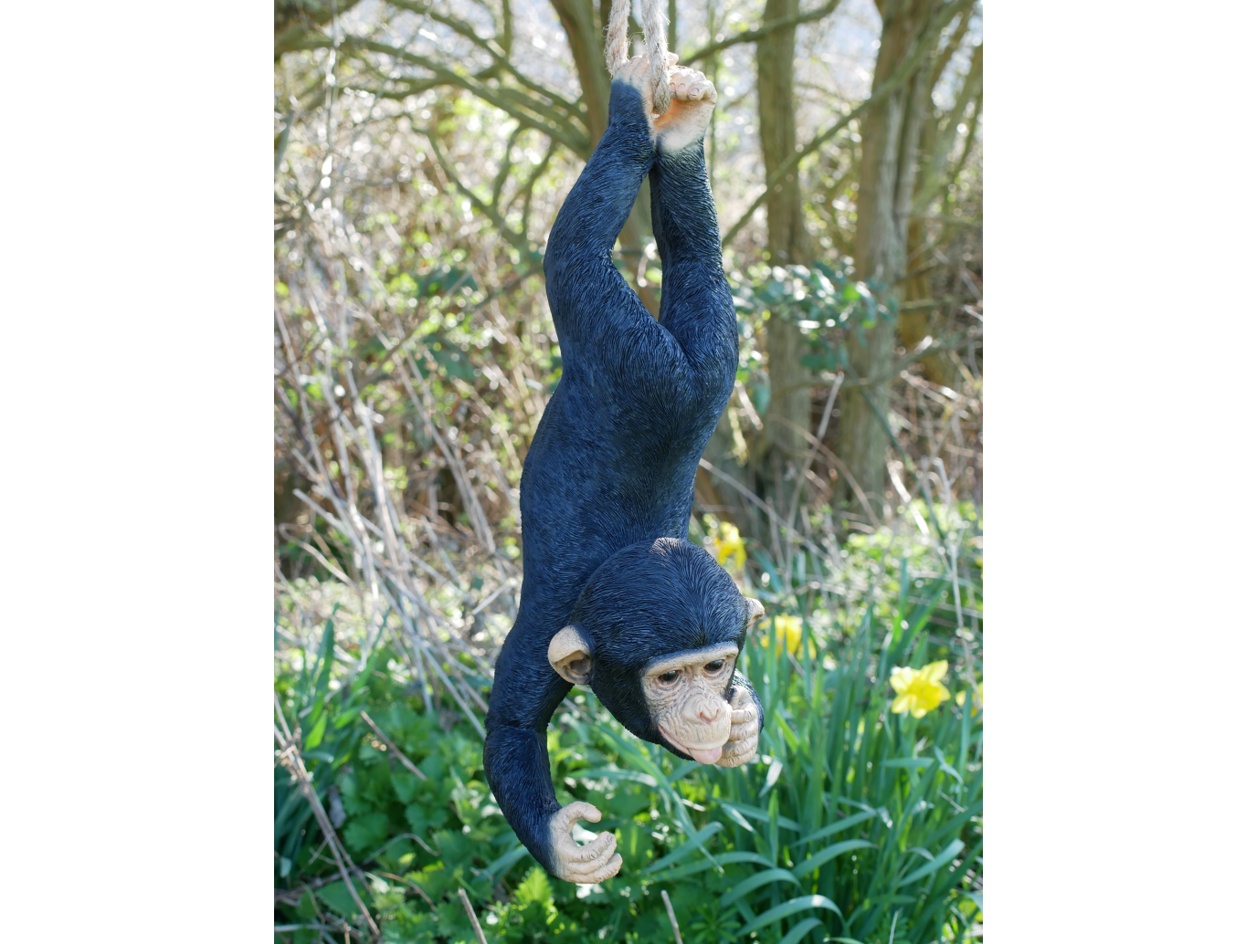 Hanging Monkey