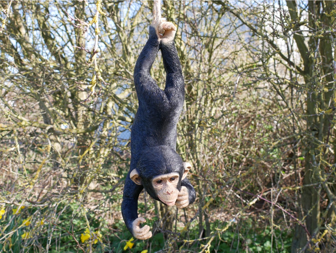 Hanging Monkey