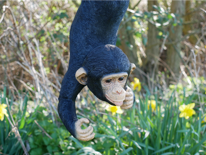 Hanging Monkey