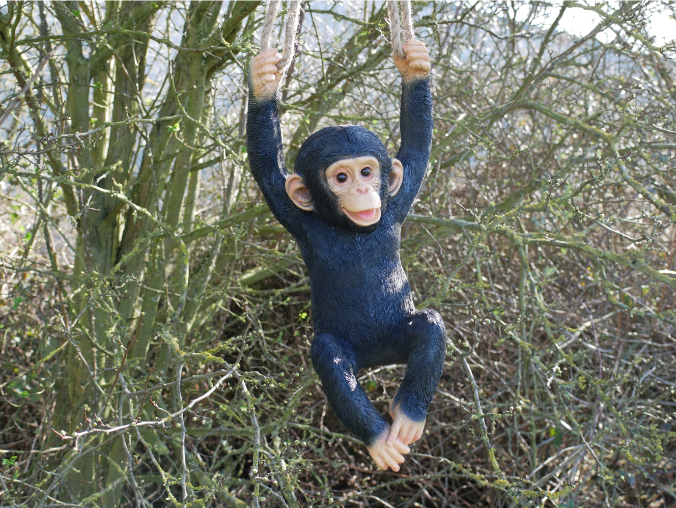 Hanging Monkey