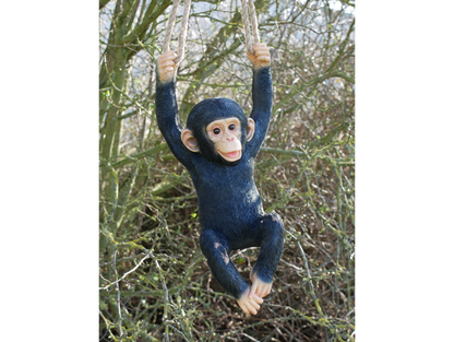 Hanging Monkey