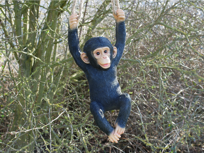 Hanging Monkey