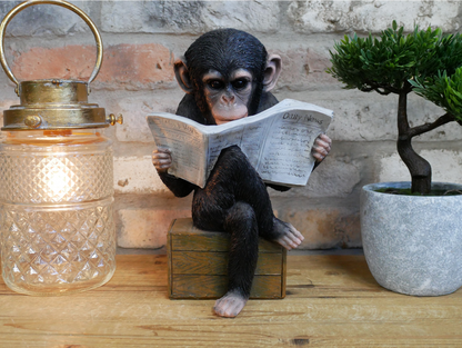 Monkey Reading The News