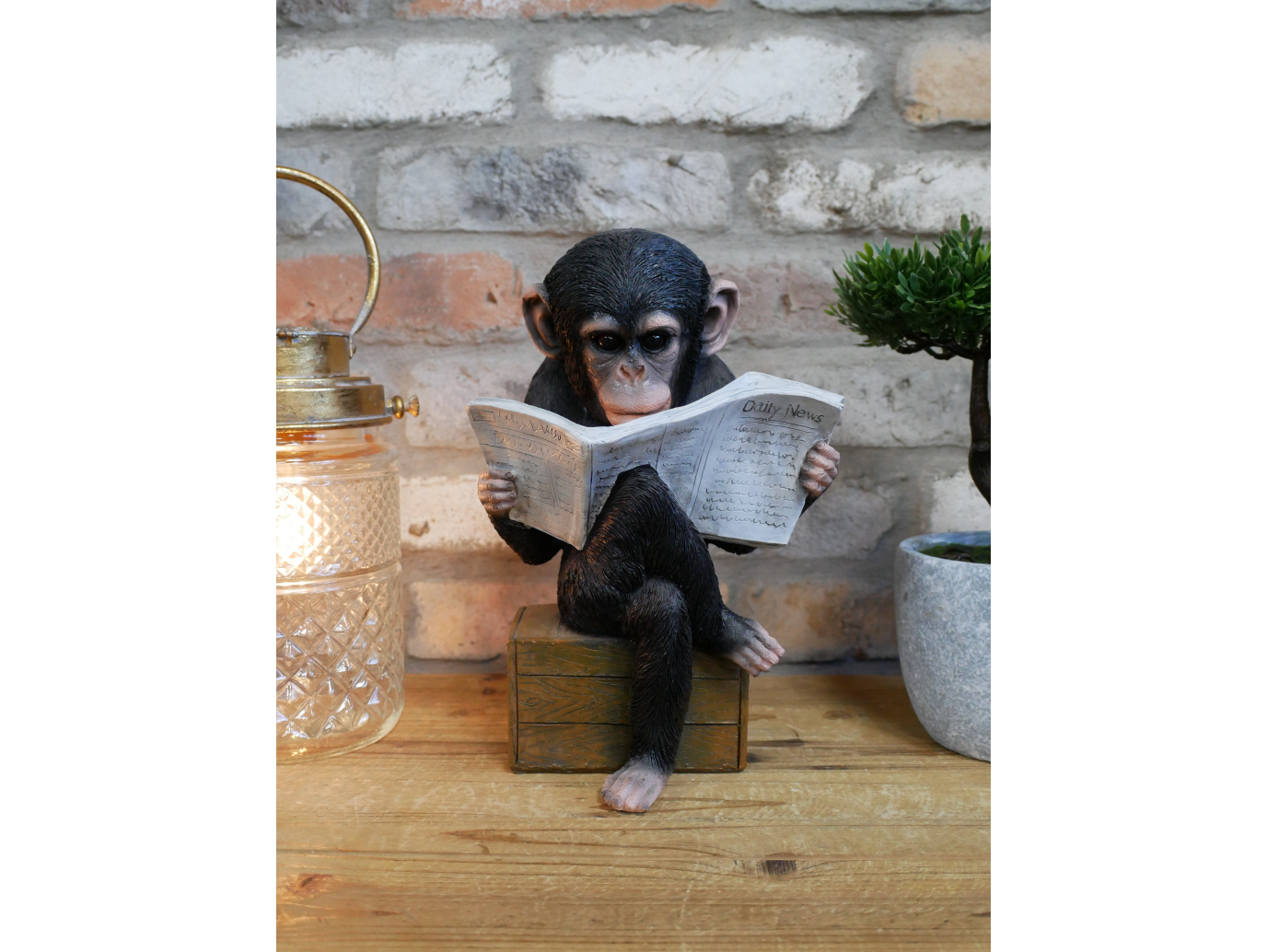 Monkey Reading The News