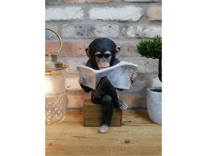 Monkey Reading The News