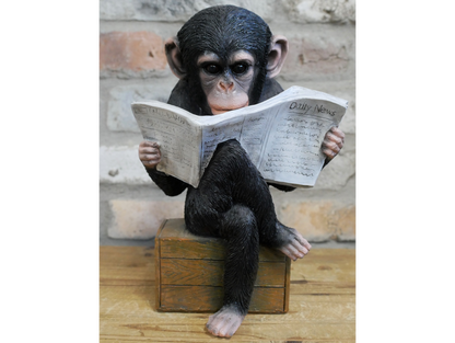 Monkey Reading The News