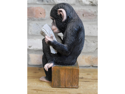 Monkey Reading The News