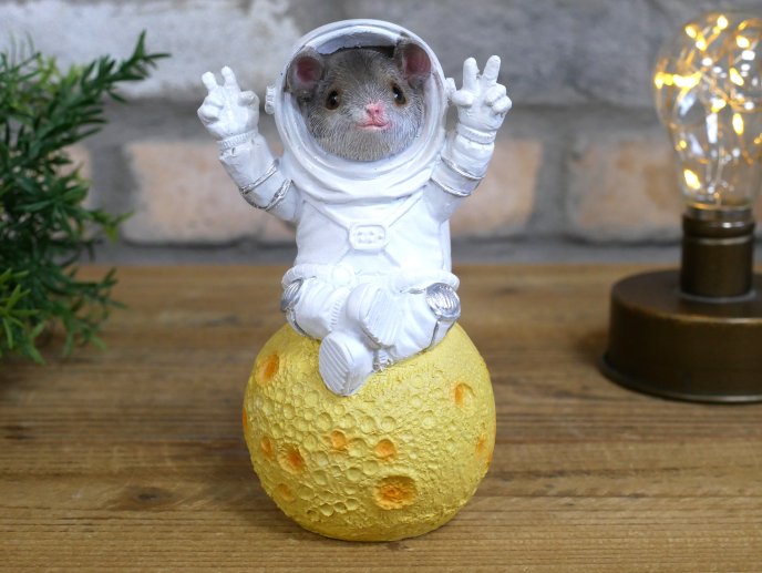 Mouse On Cheese Moon