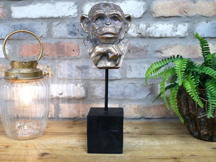 Monkey Head