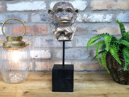 Monkey Head