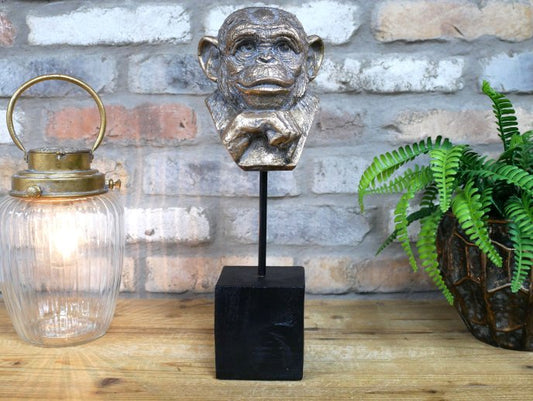 Monkey Head