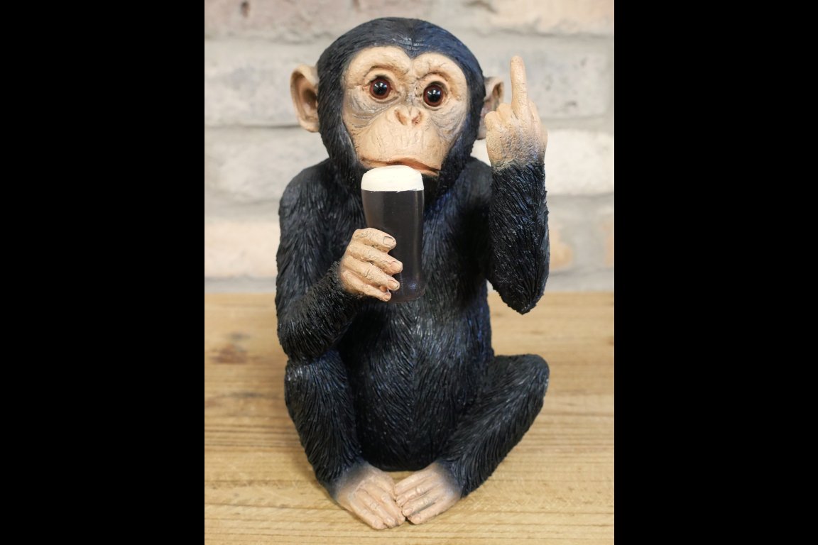 Up Yours Monkey McGuinness