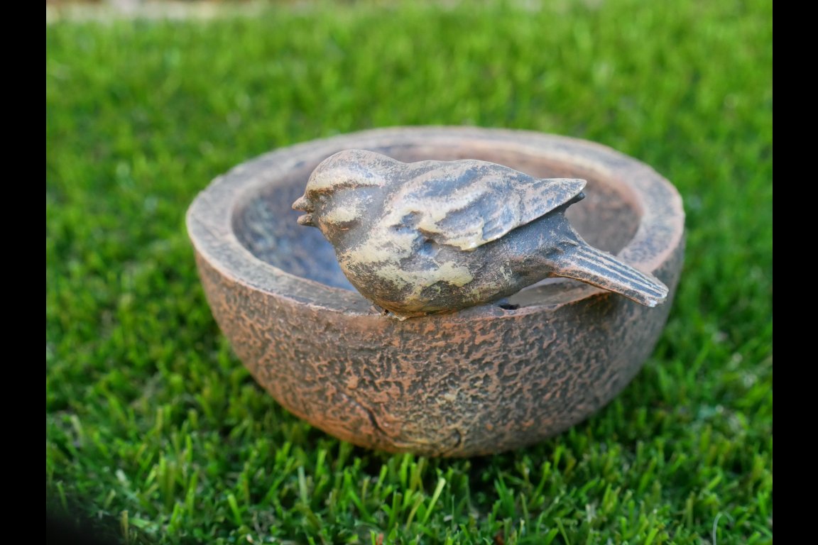 Bird Bowl