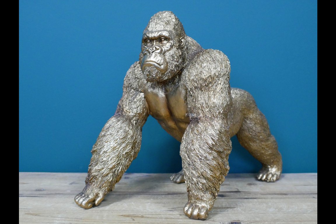 Gorilla