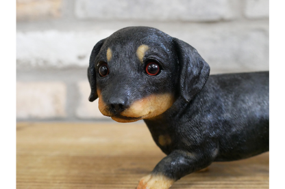 Small Dog