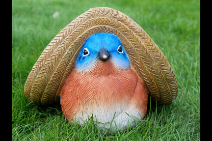 Mexican Blue Tit