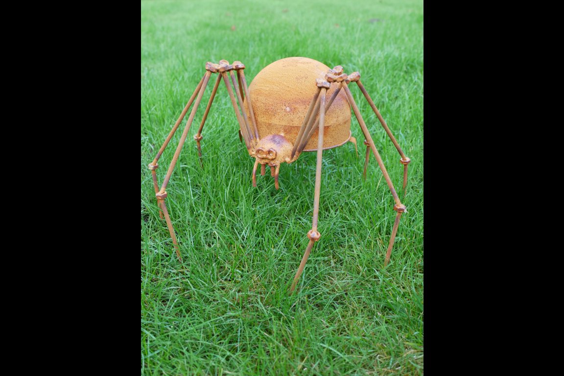 Rusty Spider