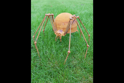 Rusty Spider