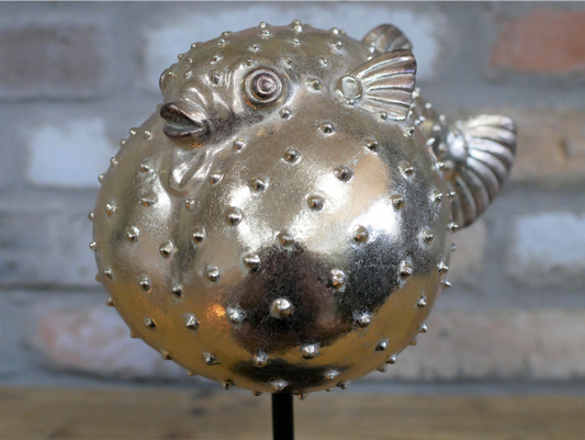 Puffer Fish