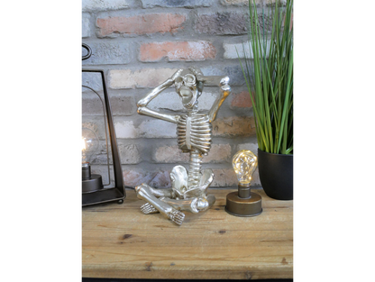 Skeleton