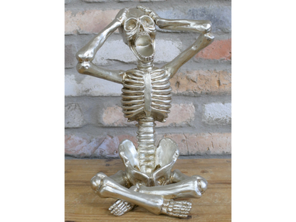 Skeleton