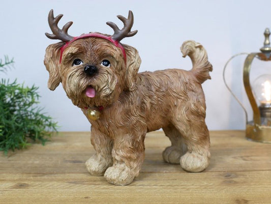 Dog With Antler Ears