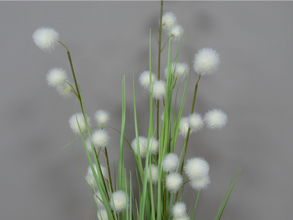 Artificial Grass & Ball