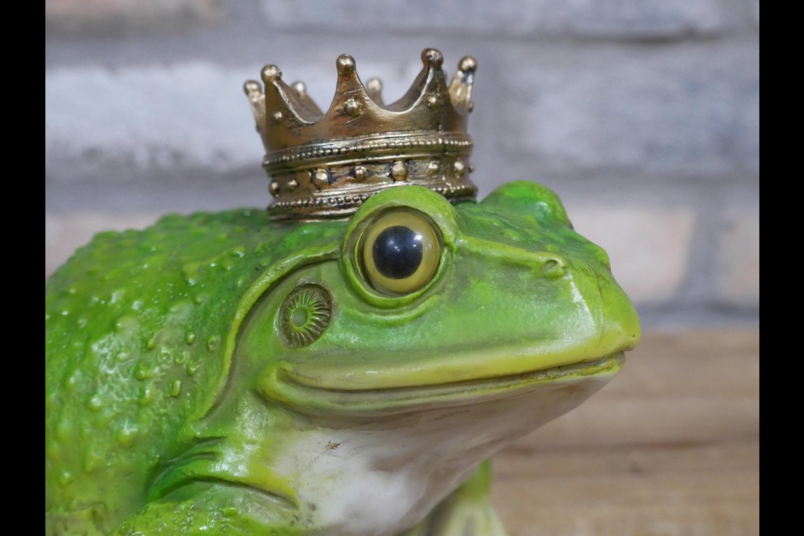 Frog King
