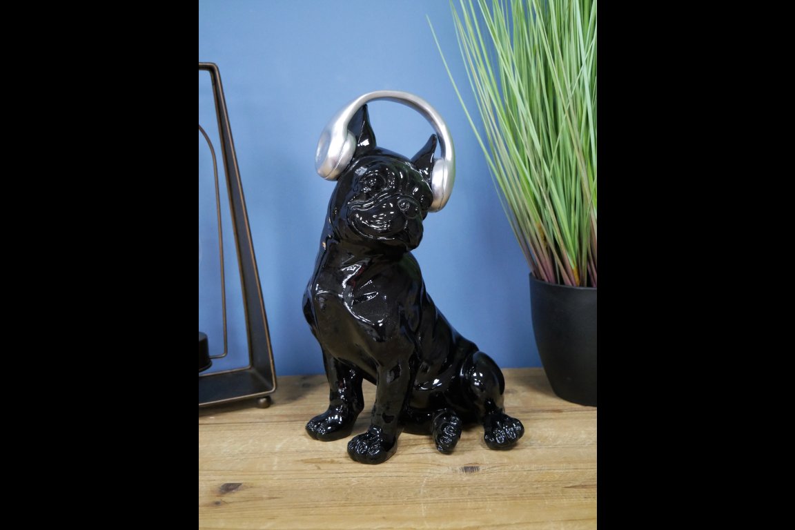 Dog With Headphones