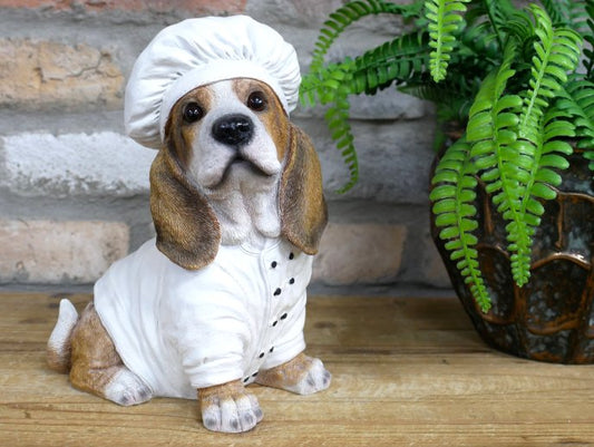 Dog Chef
