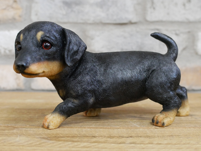 Small Dog