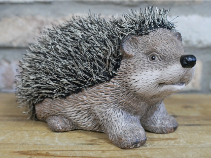 Hedgehog