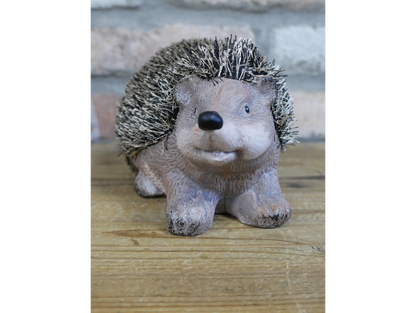 Hedgehog