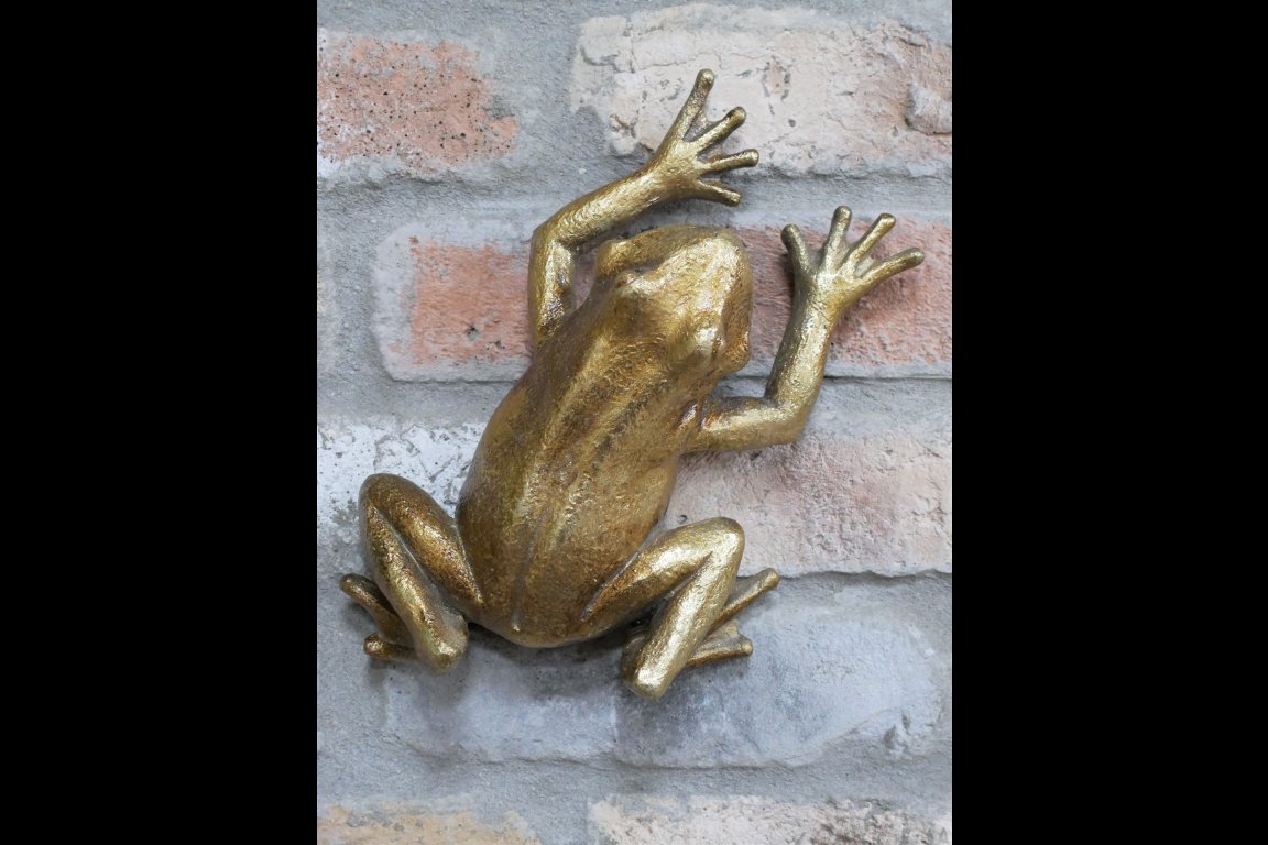 Frog Wall Decoration