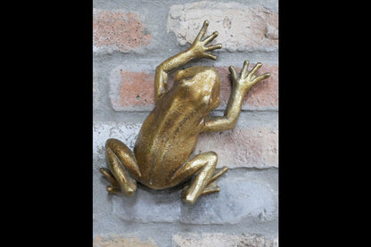 Frog Wall Decoration