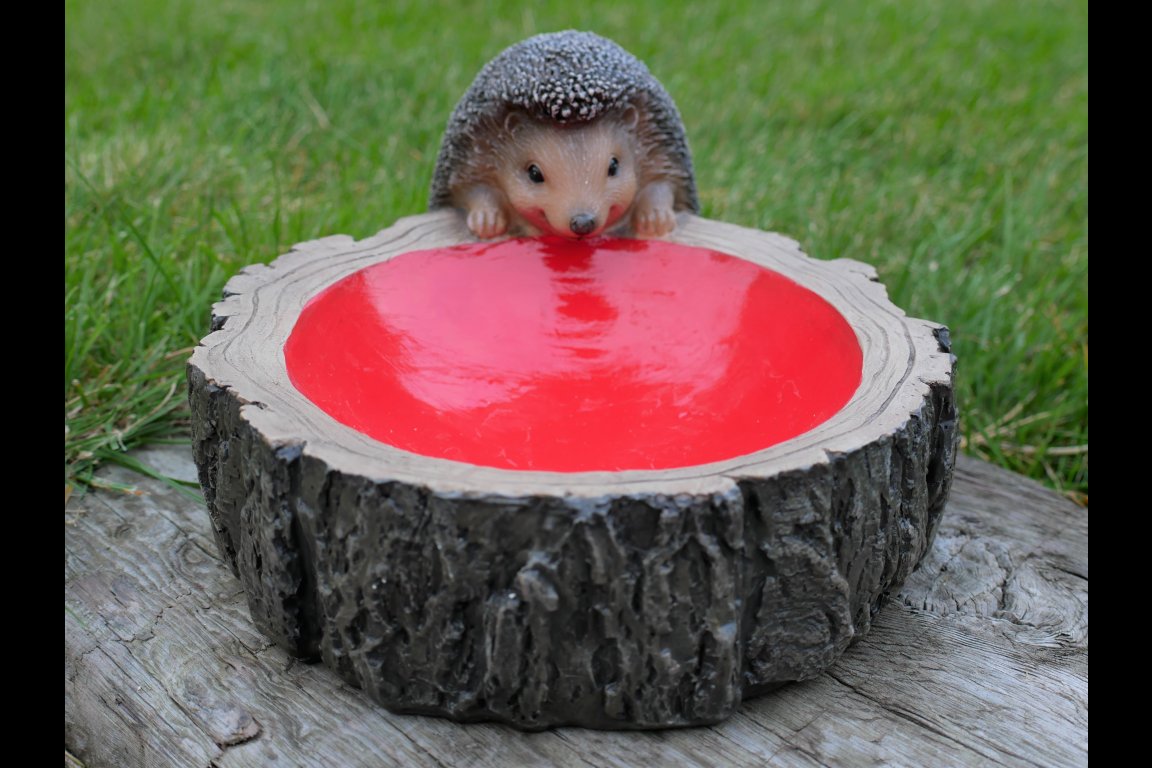 Hedgehog Feeder